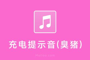 充电提示音音频（臭猪你终于知道充电了）