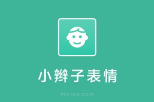 小辫子表情