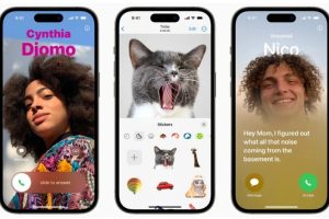 苹果 iOS 17“看图查询”功能使用方法